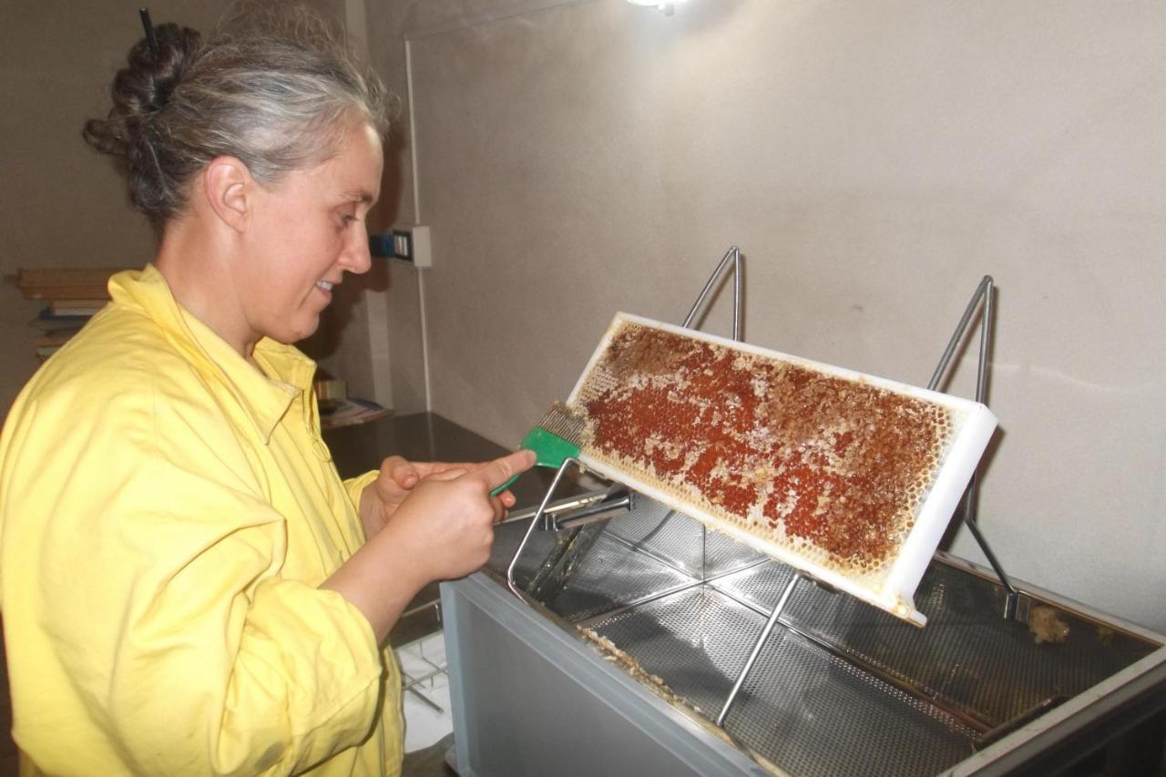 Agriturismo Di Charme E Ristorante Stallato Il Filo Di Paglia Carro Eksteriør billede
