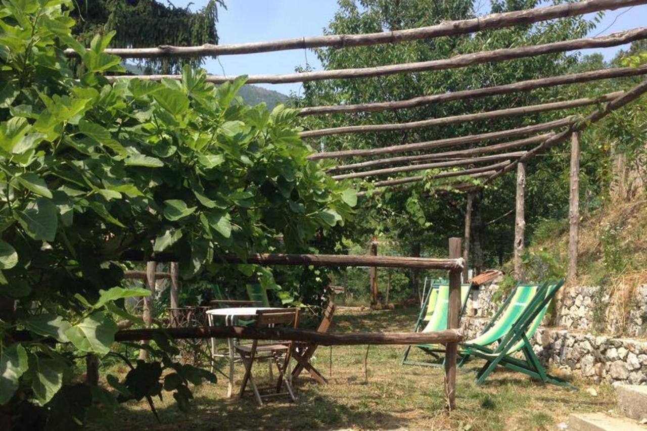 Agriturismo Di Charme E Ristorante Stallato Il Filo Di Paglia Carro Eksteriør billede