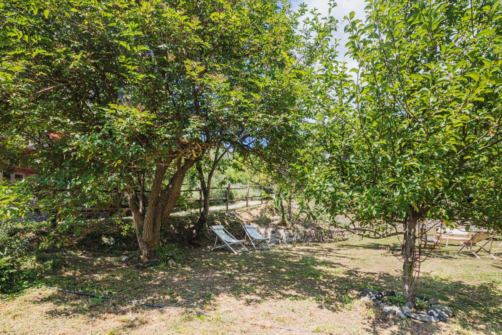 Agriturismo Di Charme E Ristorante Stallato Il Filo Di Paglia Carro Eksteriør billede